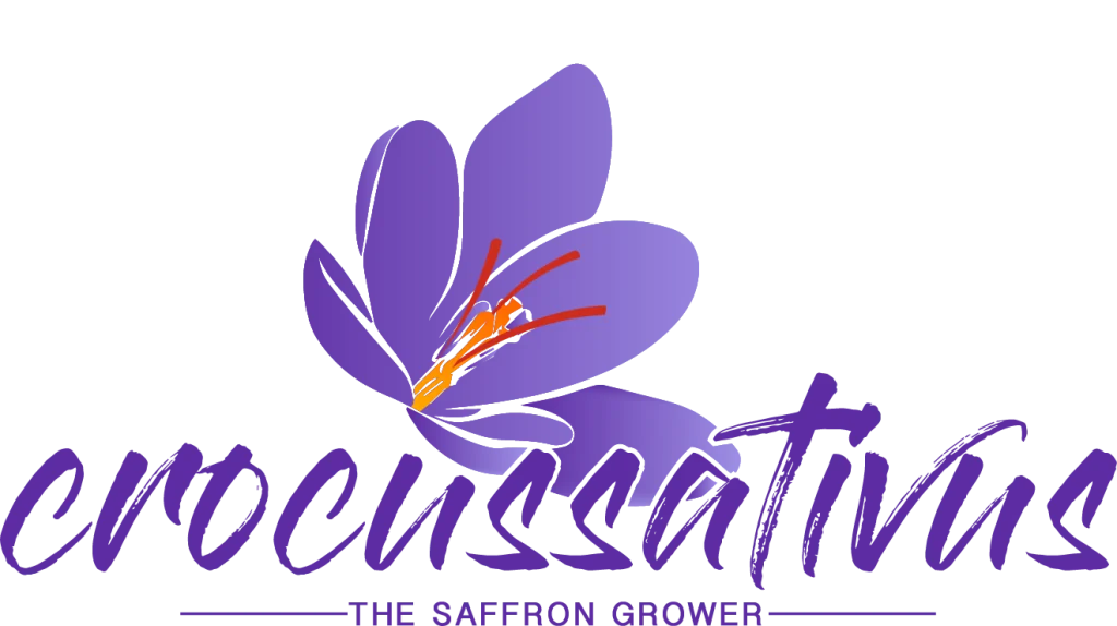 Crocus Sativus